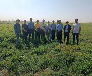 نشست بررسی همکاری‌های پژوهشی و اقتصادی در زمینه زنجیره ارزش سیب‌زمینی