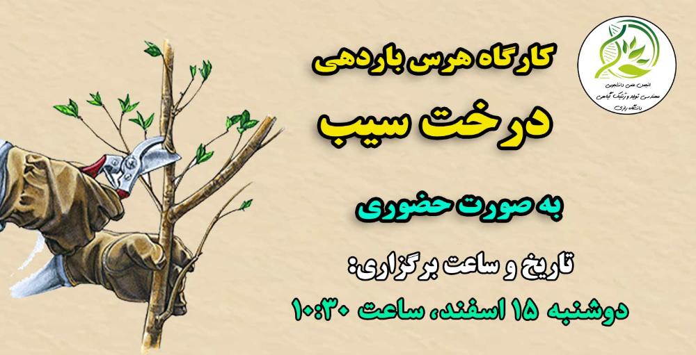 کارگاه آموزش هرس باردهی درخت سیب