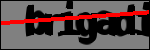 متن برای شناسایی