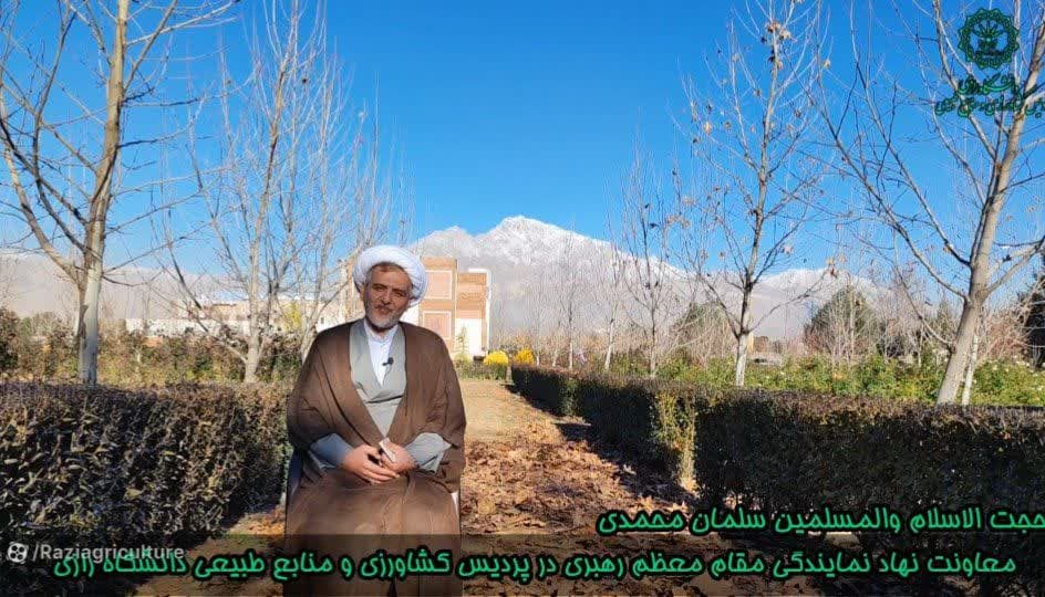 سجاده‌های اندیشه